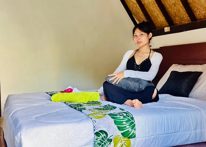 Bed & Breakfast Ampik Batur With Private Hot Springs 4*
